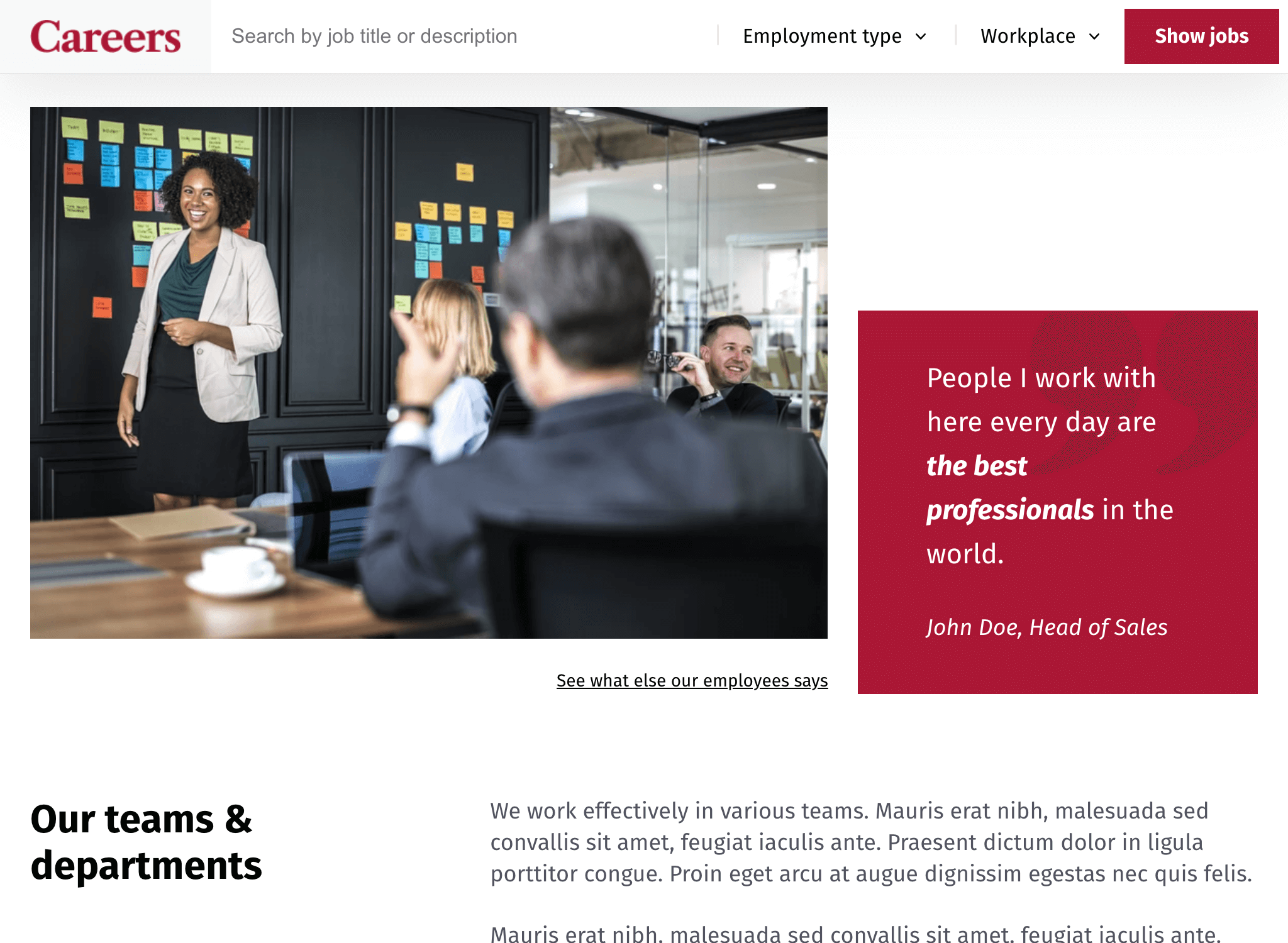 Screenshot of the Careers WordPress theme